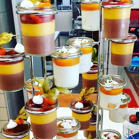 Hotel-restaurant Elsterblick 3* Elsteraue