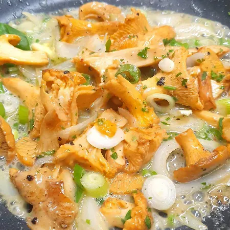 Hotel-restaurant Elsterblick Hotel Elsteraue