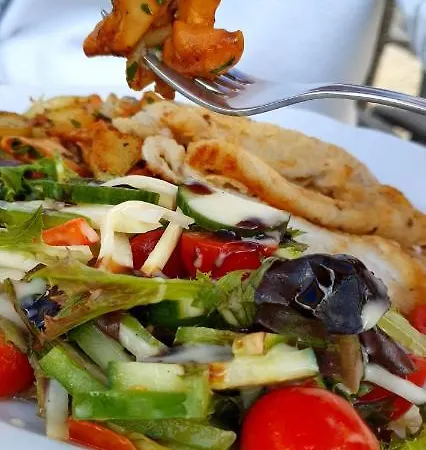 Hotel-restaurant Elsterblick 3* Elsteraue