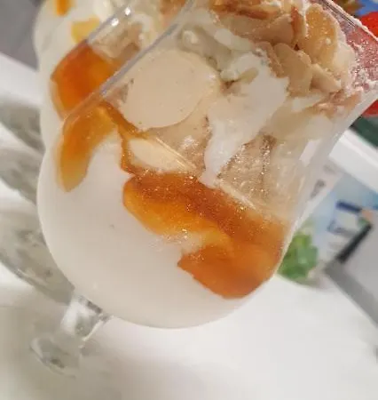 Hotel-restaurant Elsterblick Elsteraue