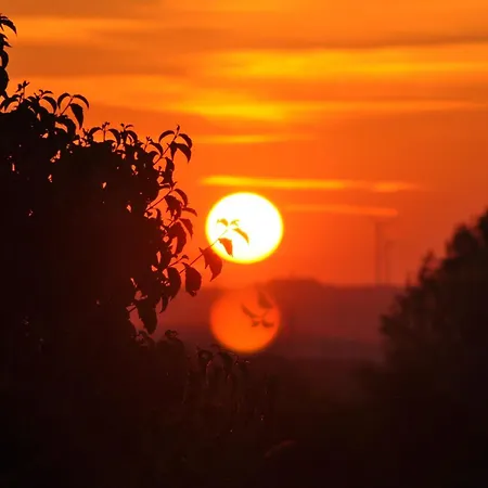 Hotel-restaurant Elsterblick Hotel 3*