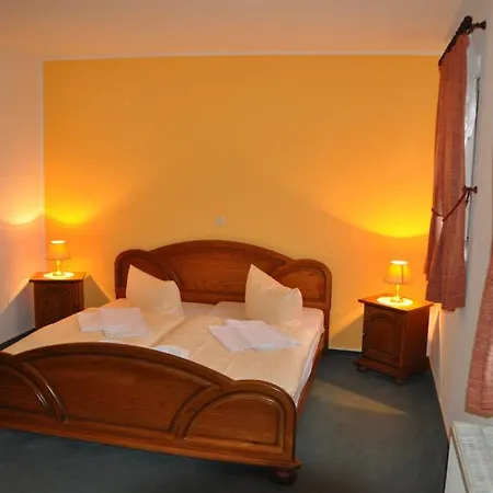 Hotel-restaurant Elsterblick 3* Elsteraue