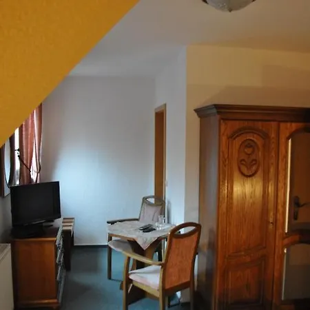 Hotel-restaurant Elsterblick Hotel Elsteraue