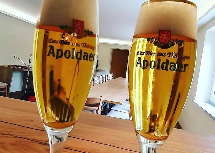 Отель Hotel-restaurant Elsterblick 3*