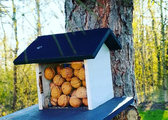 Hotel-restaurant Elsterblick ホテル 3*