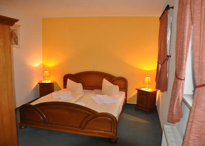 Hotel-restaurant Elsterblick 3* Elsteraue