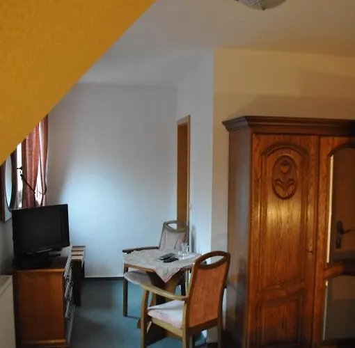 Hotel-restaurant Elsterblick ホテル Elsteraue