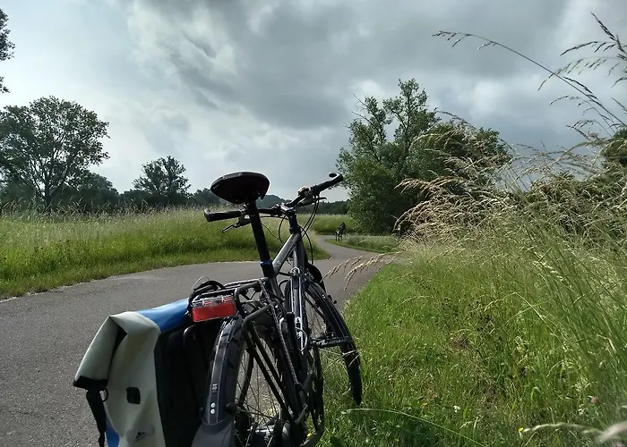 Hotel-restaurant Elsterblick ホテル 3*